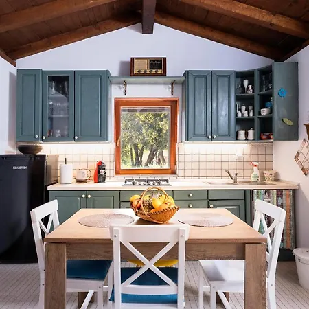 Tatil Evi In *