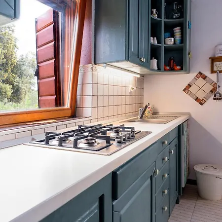 Tatil Evi In