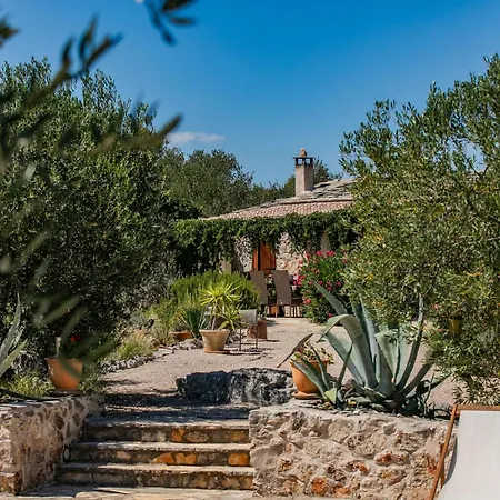 Tatil Evi In