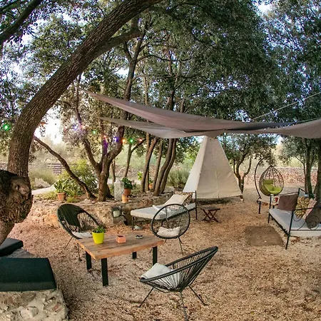 Tatil Evi In *